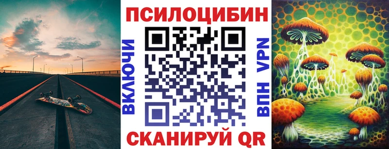 Псилоцибиновые грибы Magic Shrooms  Купить закладки  Михайлов 